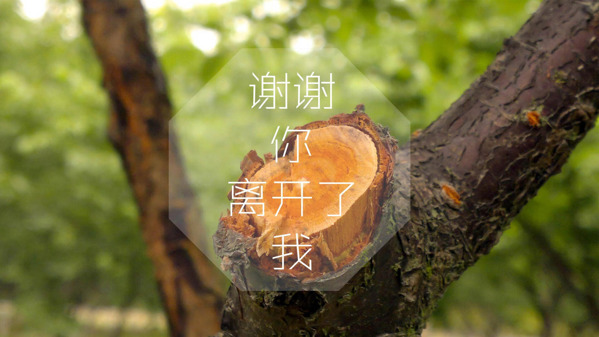 世俱杯官网-_网球旅游：旅游+运动的新体验_，网球娱乐活动