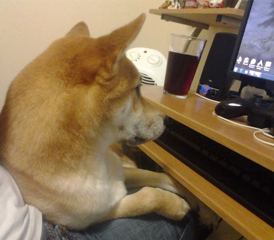 俱乐部世界杯-“幕后策略：车队的智谋决胜”