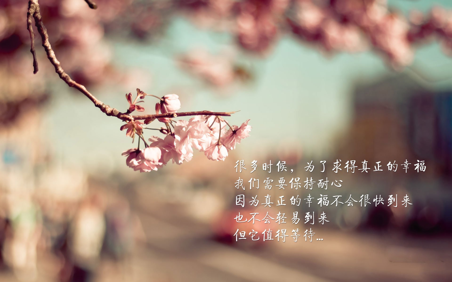 世俱杯-“法甲双雄对决，比赛精彩纷呈”，法甲打架视频