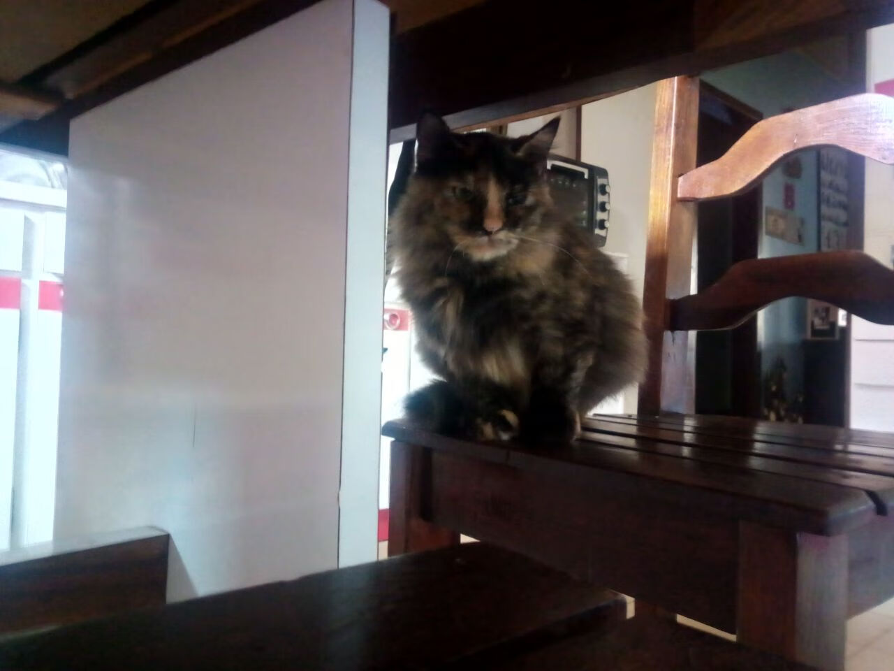 世界俱乐部杯在线观看-西甲球队通过语言分析识别裁判指令对防守态度的引导效应,西乙裁判