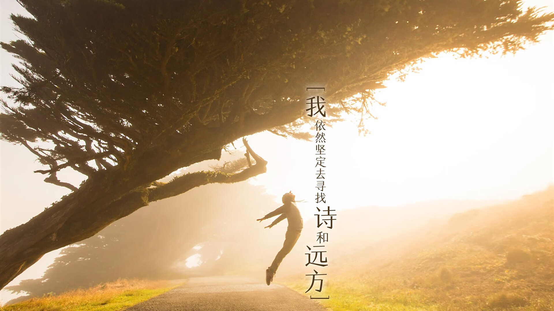 世俱杯专业体育赛事直播平台-2024年印度队表现:乒乓世界杯赛场的黑马之势,印度男乒乓球运动员