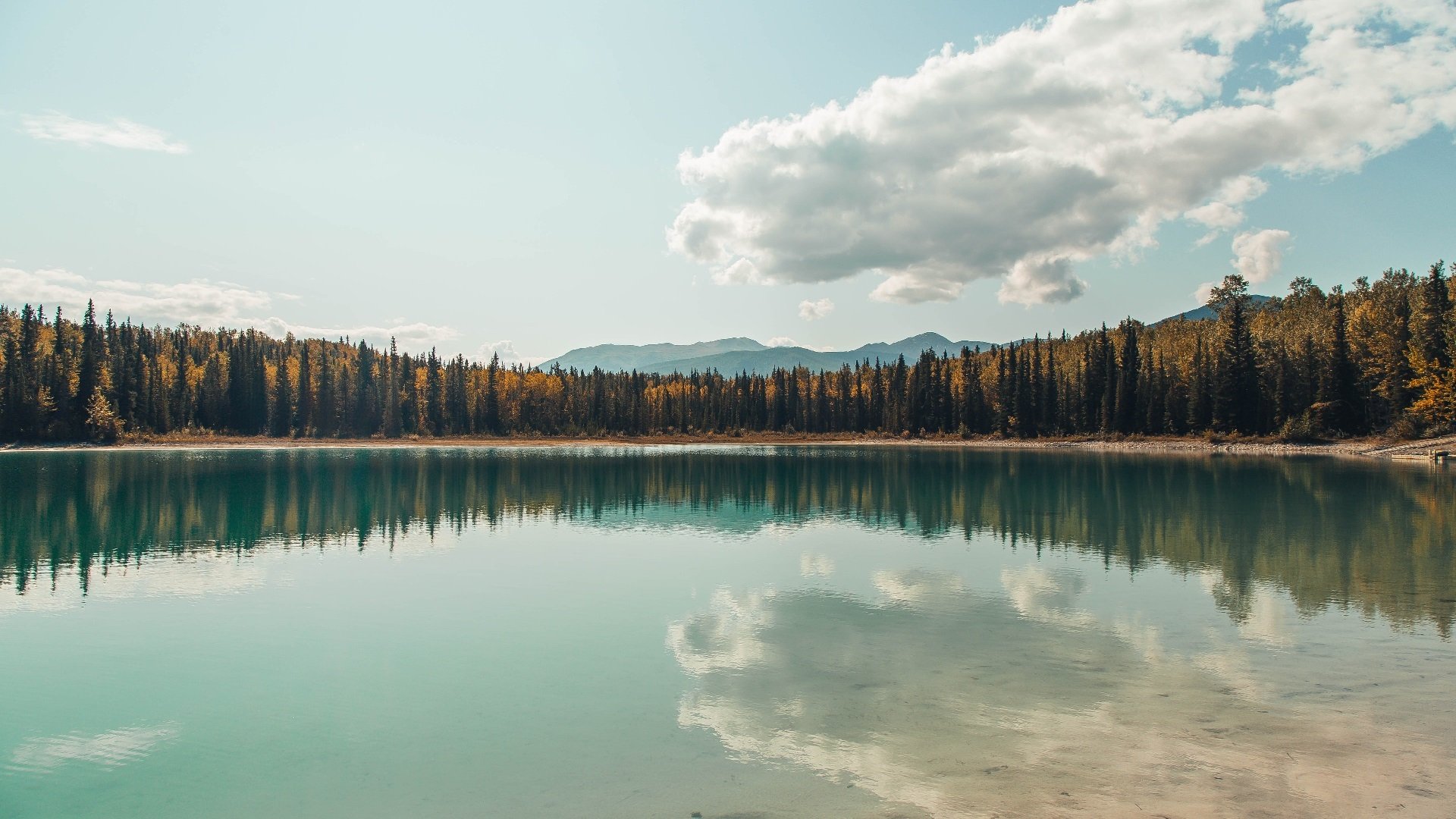 足球世俱杯-东亚杯国家队爆冷 球迷希望进行变阵,东亚杯战绩