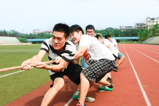 世俱杯网站-体育新闻中心联合高校开展体育内容创新创业竞赛,学校体育创新项目