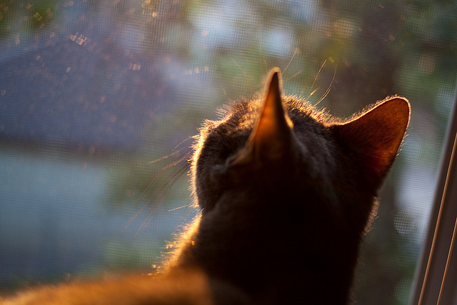 世俱杯直通-国家队赛事运营缺乏市场化思维支持