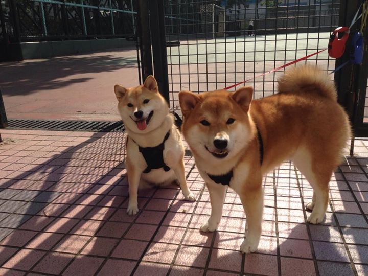 2025世俱杯对阵表-国际米兰双边路推进打穿对方防线,米兰边路球员